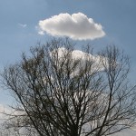 alberi_nuvole_IMG_2049